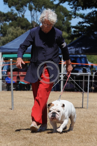 DOG_3732.JPG