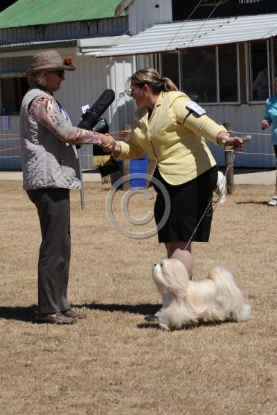 DOG_3774.JPG