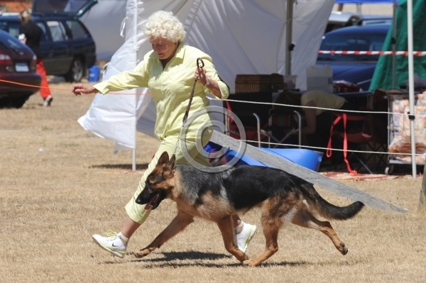 DOG_3938.JPG