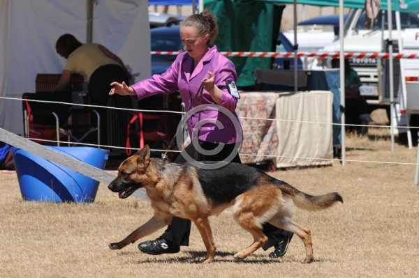 DOG_3957.JPG