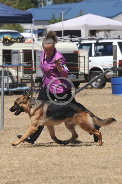 DOG_3974.JPG