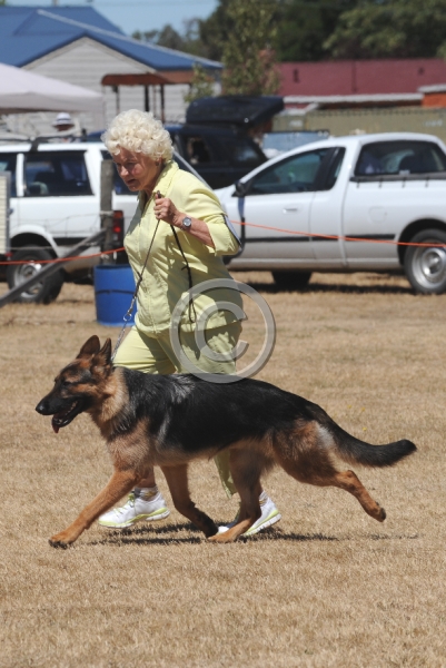 DOG_4023.JPG