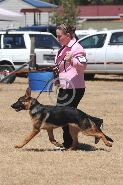 DOG_4052.JPG