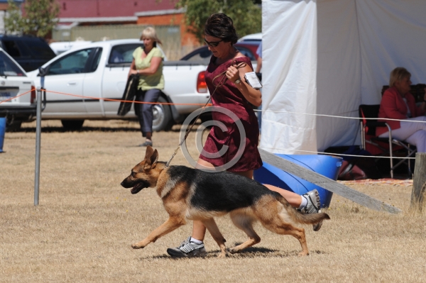 DOG_4057.JPG