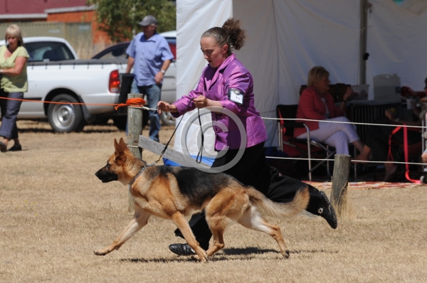 DOG_4059.JPG