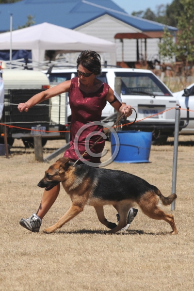 DOG_4064.JPG