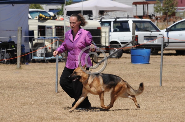 DOG_4083.JPG