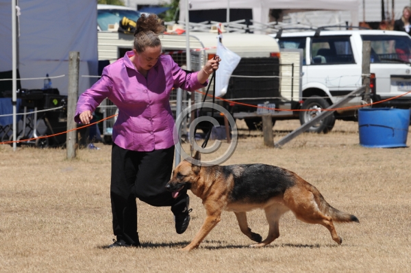 DOG_4134.JPG