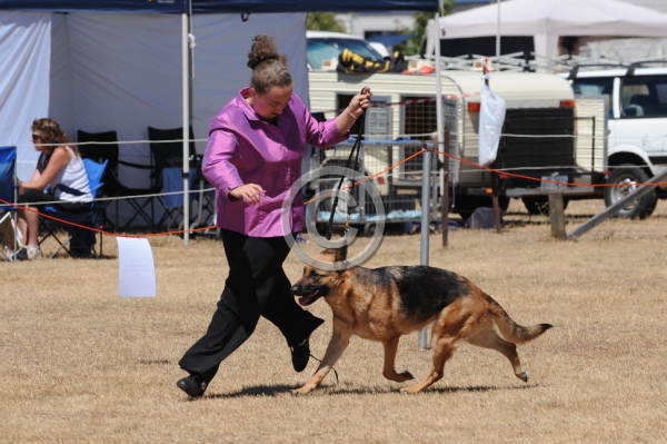 DOG_4136.JPG