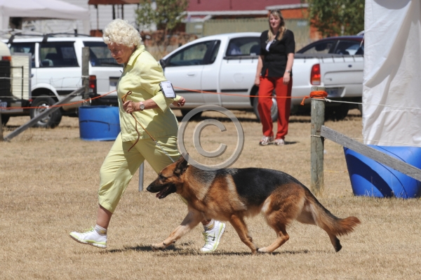 DOG_4144.JPG
