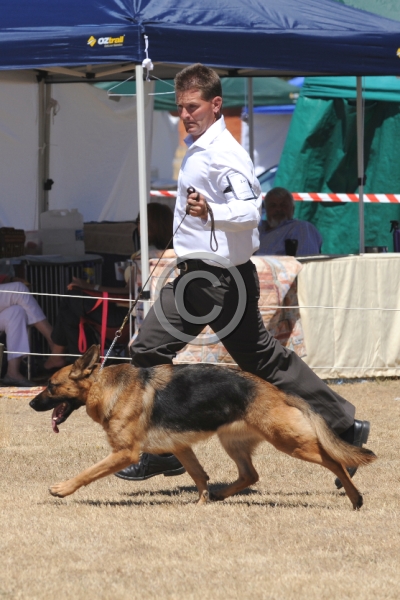 DOG_4152.JPG