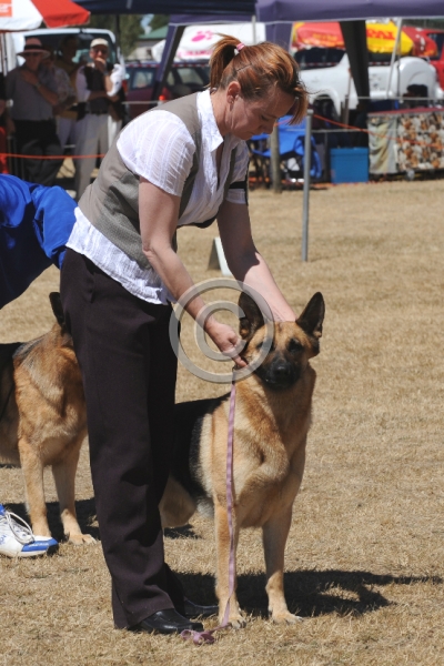 DOG_4159.JPG