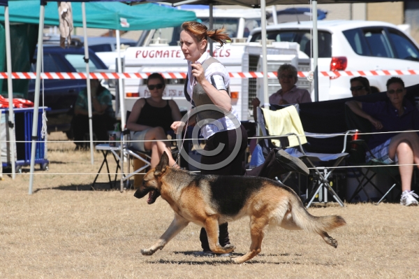 DOG_4161.JPG