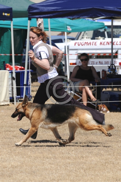 DOG_4162.JPG
