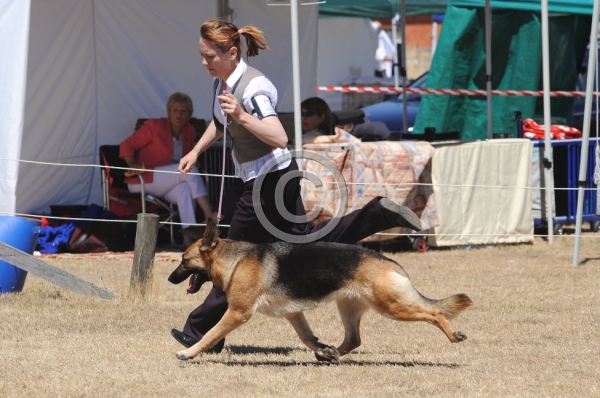 DOG_4165.JPG