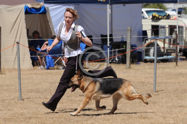 DOG_4168.JPG