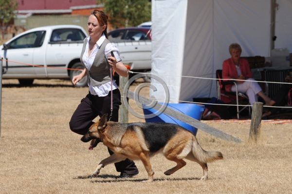 DOG_4178.JPG