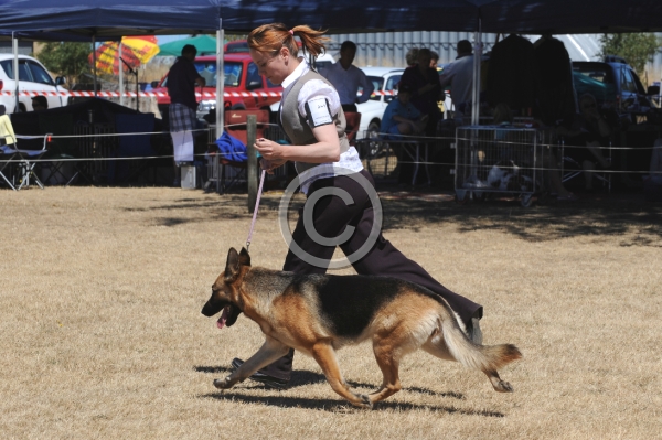 DOG_4187.JPG