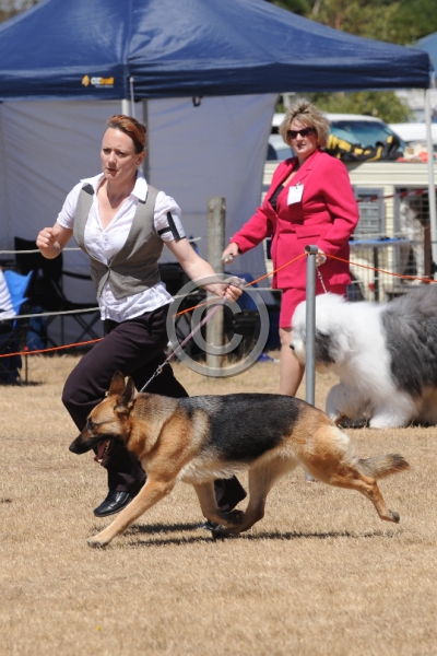 DOG_4206.JPG