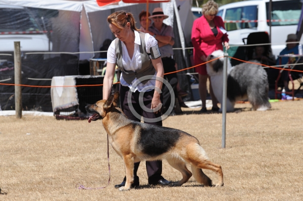 DOG_4219.JPG