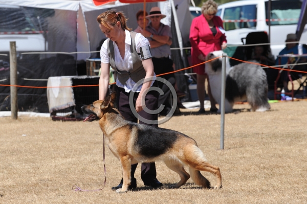 DOG_4220.JPG