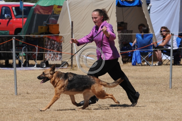 DOG_4234.JPG