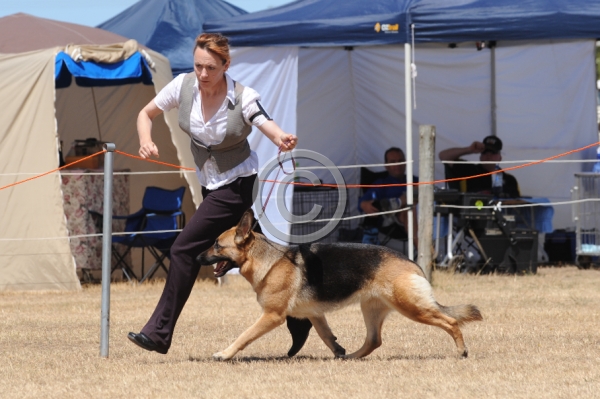 DOG_4254.JPG