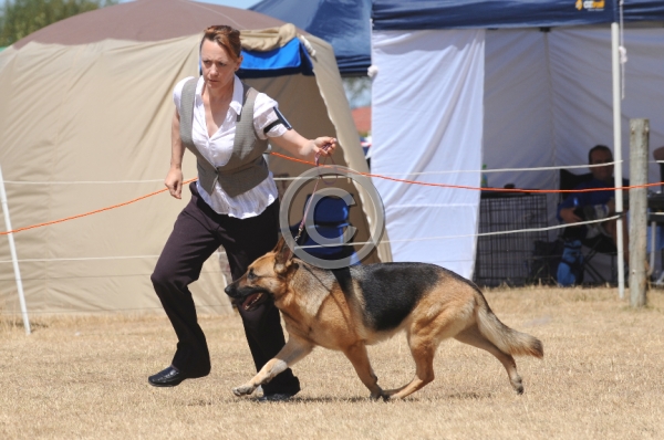 DOG_4256.JPG