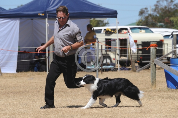 DOG_4264.JPG