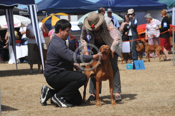 DOG_4292.JPG
