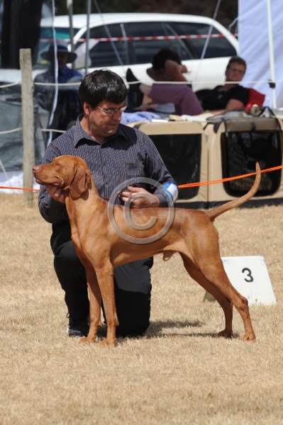 DOG_4344.JPG