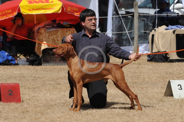 DOG_4352.JPG