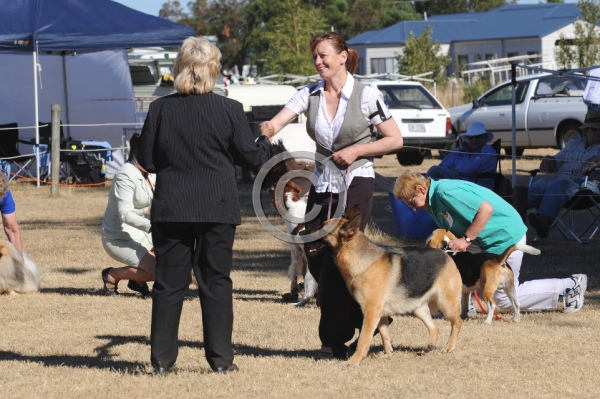 DOG_4837.JPG