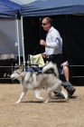 DOG_3642