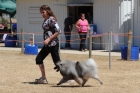 DOG_3683