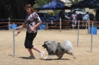 DOG_3686