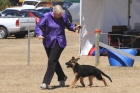 DOG_3927