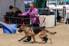 DOG_3957