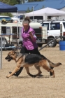 DOG_3974