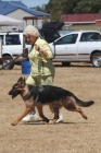 DOG_4023