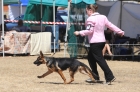 DOG_4046