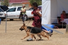 DOG_4057