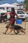 DOG_4064