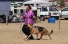 DOG_4083