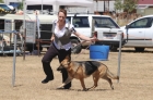 DOG_4098