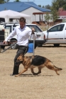 DOG_4118