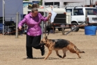 DOG_4134