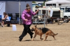 DOG_4136