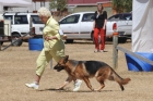 DOG_4144