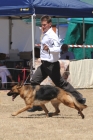 DOG_4152